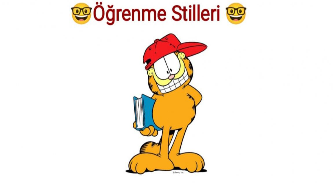 ÖĞRENME STİLLERİ 